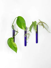 Afbeelding in Gallery-weergave laden, Muurbloempjes Magnetische plantenhanger | Blauw 3 stuks
